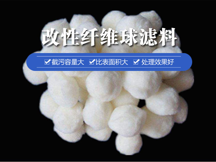 �����w�S��V��