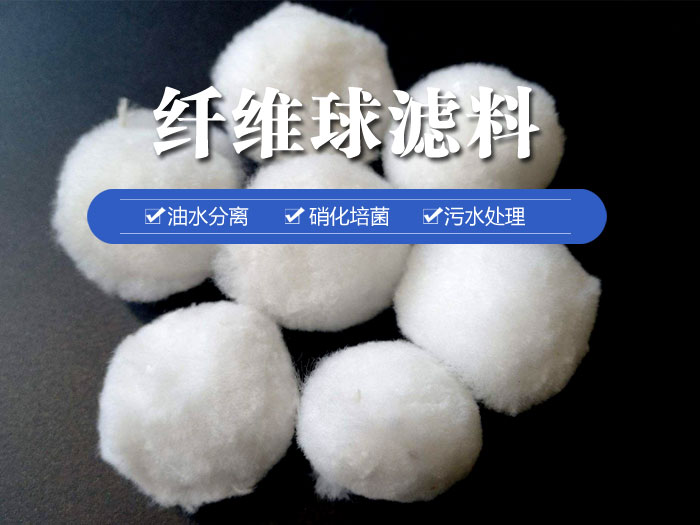 �w�S��V��